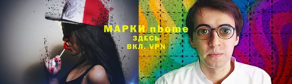 PSILOCYBIN Бородино