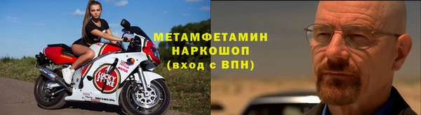 PSILOCYBIN Бородино